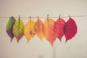 assorted-color lear hanging decor